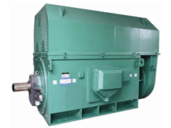 Y5006-6/710KWYKK系列高压电机