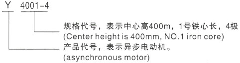 西安泰富西玛Y系列(H355-1000)高压Y5006-6/710KW三相异步电机型号说明