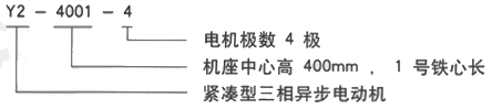 YR系列(H355-1000)高压Y5006-6/710KW三相异步电机西安西玛电机型号说明